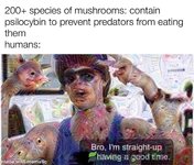 21779B1B-0379-48B9-8104-DED9F1FF90FD.jpeg