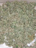 20230316_115615.jpg