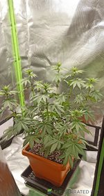 IMG_20230407_130801.jpg