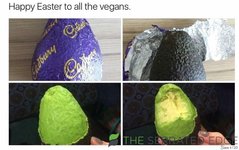 happy-easter-fail-of-what-you-think-will-be-an-egg-but-it-is-for-vegans-so-it-is-made-of-avocado.jpg
