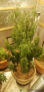 20201105_165540.jpg