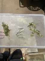 IMG_4597.jpeg