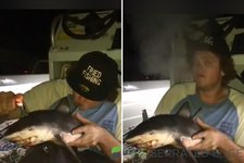 KH-COMPOSITE-SHARK-BONG.jpg