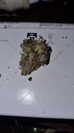 20230523_172538.jpg