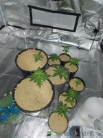 IMG_20230608_161844.jpg