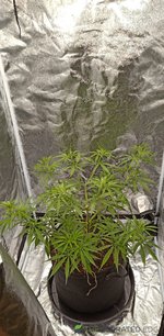 IMG_20230613_110736.jpg