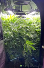 IMG_1298.jpeg