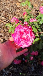 20230410_090641.jpg
