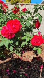 20230410_090705.jpg