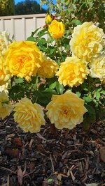 20230410_090649.jpg