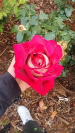 20230509_163629.jpg