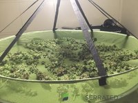 IMG_0467.jpeg