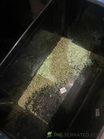 IMG_4672.jpeg