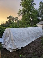 20230525_201029.jpg