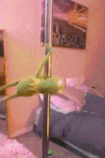 kermit-stripper.gif