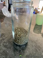 IMG_9482.jpeg