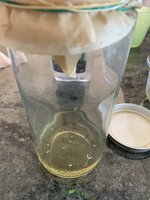 IMG_9484.jpeg
