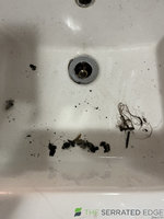 IMG_0737.jpeg