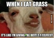 images (25).jpeg