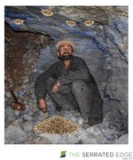 SeedMine.jpg