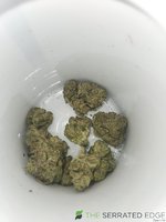 20230807_193137.jpg