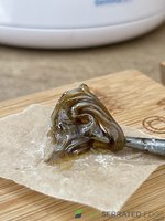IMG_5938.jpeg