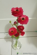 20230912_183534.jpg