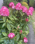 93672278-15D4-43CB-9C38-36B6795454CE.jpeg