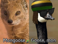 1695162792624.png