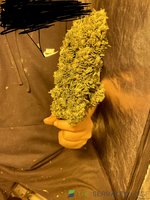 IMG_5041.jpeg