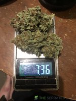 IMG_4244.jpeg
