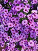 IMG_20230923_120925.jpg