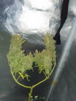 IMG_20230923_153748.jpg