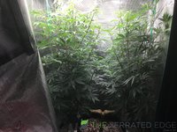 IMG_0630.jpeg