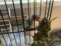 IMG_1347.jpg
