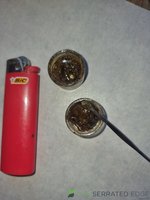 20231002_164711.jpg