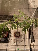IMG_8015.jpeg