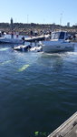 20200830_122133.jpg