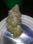 IMG_20200815_160948.jpg
