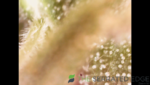 unknown (2).png