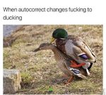 C3E34EFE-13B2-4984-AECE-EF98ECBBDC23.jpeg