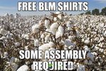 FB_IMG_1599503950441.jpg