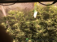 IMG_0647.jpeg