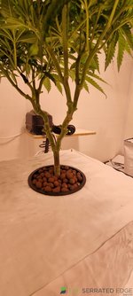 20231023_165127.jpg