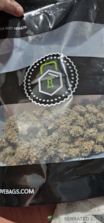 bag.jpg
