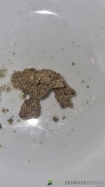 20230612_191104.jpg