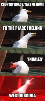 Country Road.jpeg