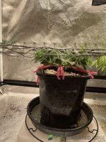 IMG_8179.jpeg