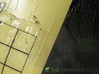 Bugs.jpg