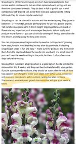 Screenshot_20231125_141125_Firefox.jpg